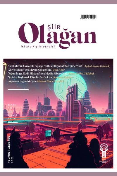 Olağan Şiir 33 Sayı