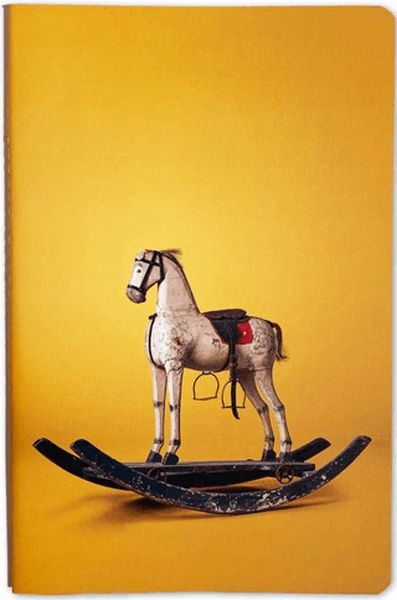 Nesin Defter  Sallanan At