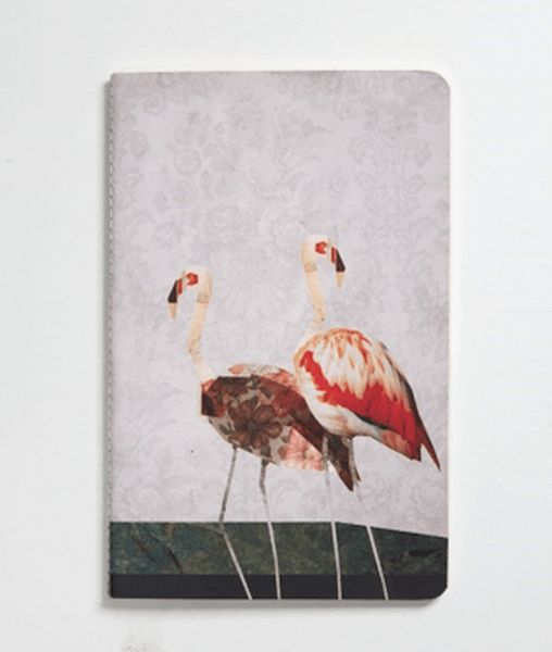 Nesin Defter  Flamingo