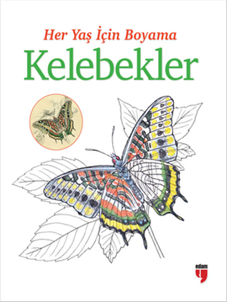 Her Yaş İçin Boyama  Kelebekler