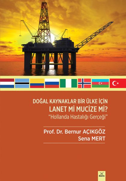 Doğal Kaynaklar Bir Ülke İçin Lanet Mi Mucize Mi  Hollanda Hastalığı Gerçeği