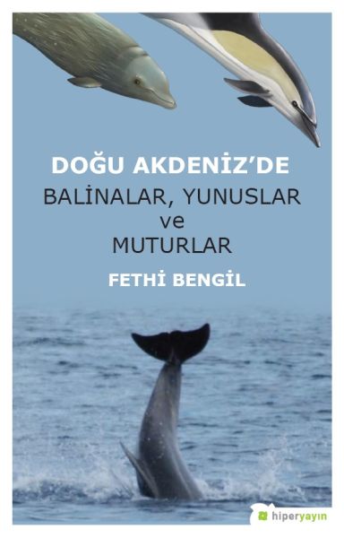 Doğu Akdeniz’de Balinalar Yunuslar ve Muturlar