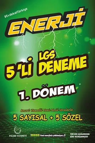 Palme Enerji LGS 1 Dönem 5li Deneme