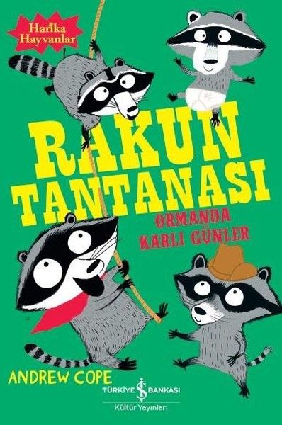 Rakun Tantanası  Ormanda Karlı Günler