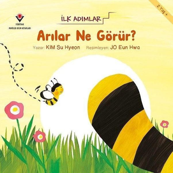 Arılar Ne Görür  İlk Adımlar
