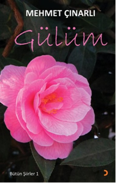 Gülüm  Bütün Şiirleri 1