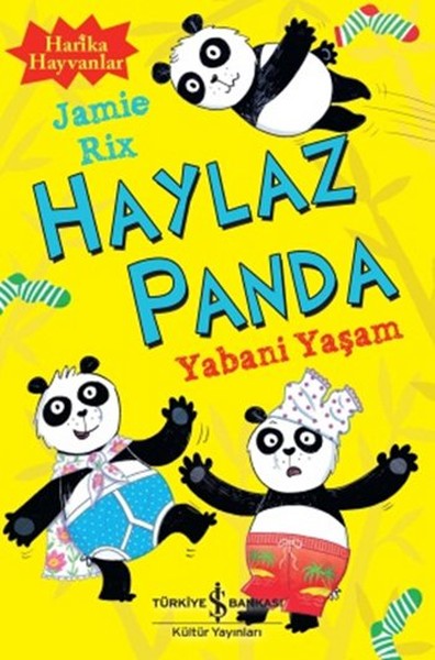 Haylaz Panda  Yabani Yaşam