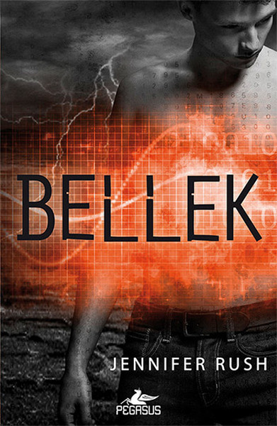 Amnezi 2 Kitap  Bellek