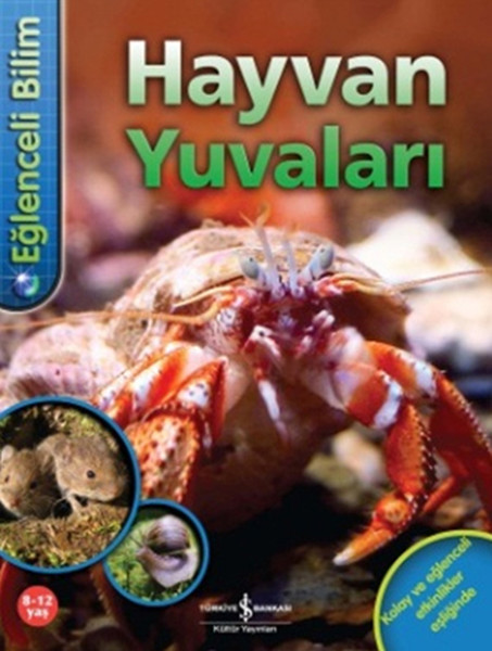 Eğlenceli Bilim  Hayvan Yuvaları