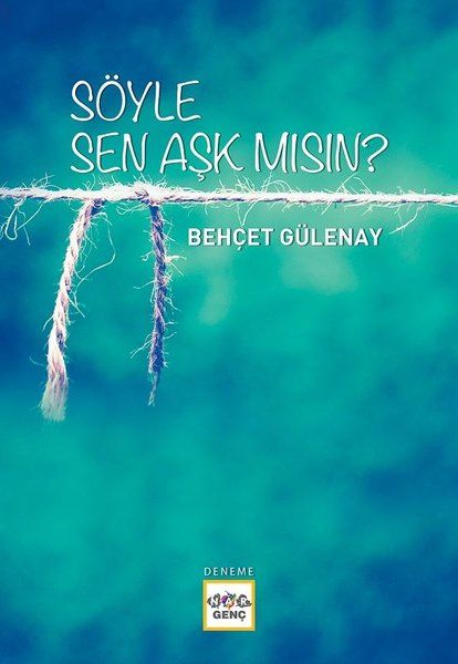 Söyle Sen Aşk mısın