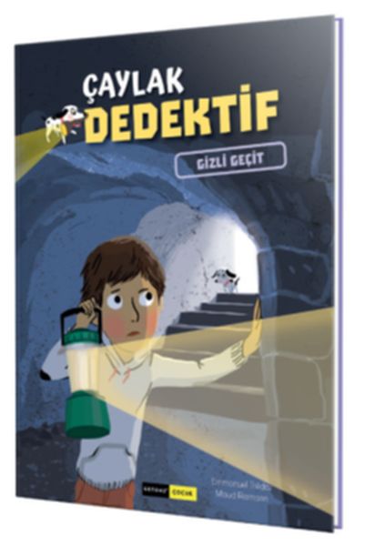 Çaylak Dedektif  Gizli Geçit