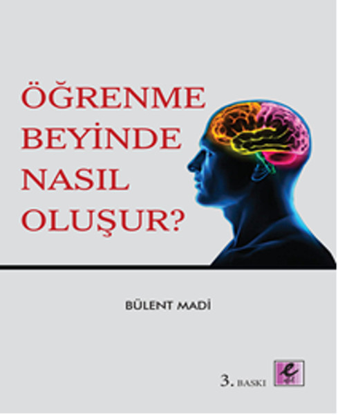Öğrenme Beyinde Nasıl Oluşur