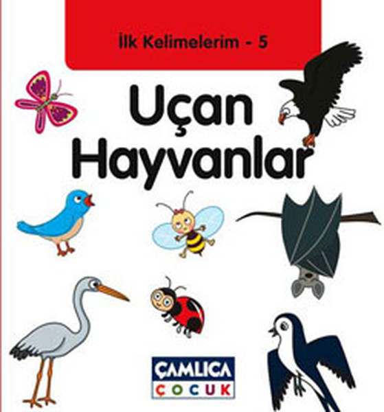 Uçan Hayvanlar  İlk Kelimelerim 5