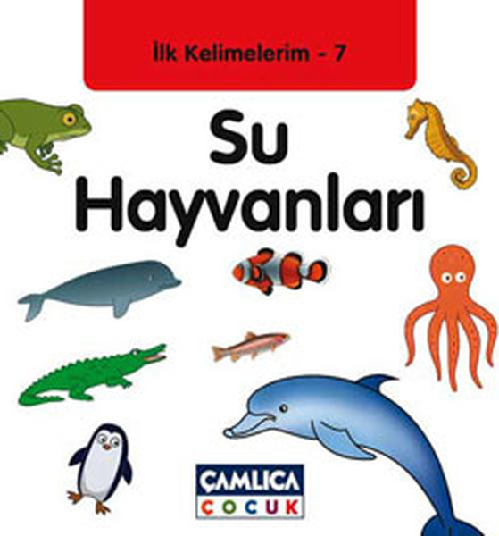 Su Hayvanları  İlk Kelimelerim7