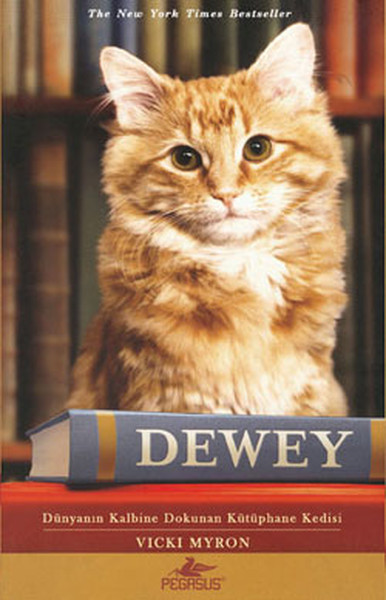 Dewey Cep Boy