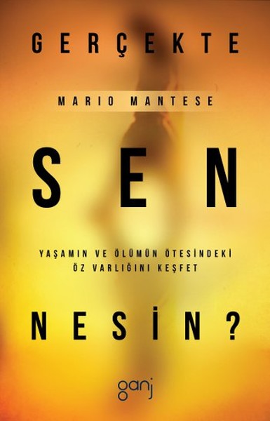 Gerçekte Sen Nesin