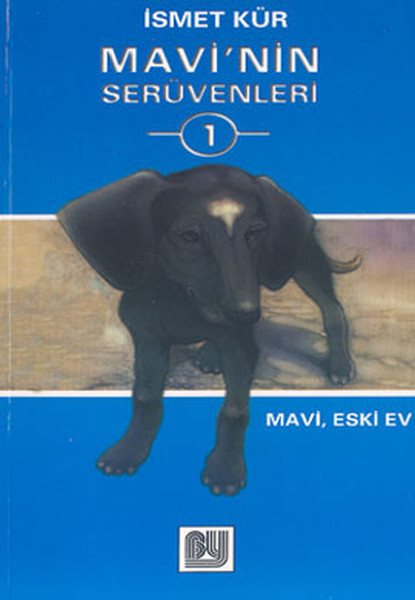 Mavinin Serüvenleri 1 Eski Ev