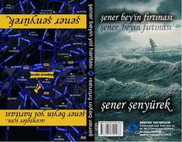 Şener Beyin Fırtınası  Şener Beyin Yol Haritası