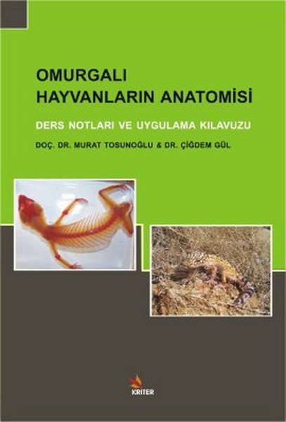 Omurgalı Hayvanların Anatomisi  Ders Notları ve Uygulama Kılavuzu