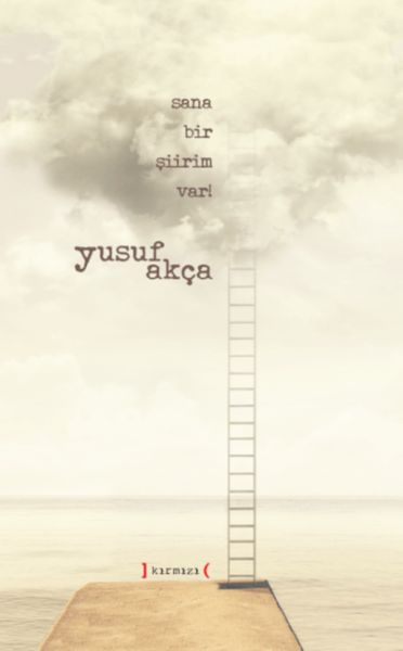 Sana Bir Şiirim Var