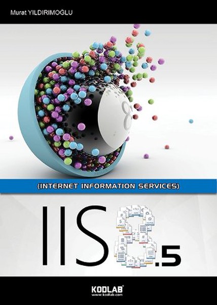 Iis 85