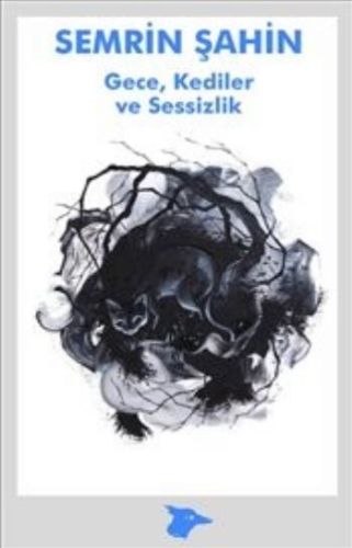 Gece Kediler ve Sessizlik