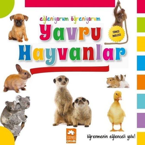 Eğleniyorum Öğreniyorum  Yavru Hayvanlar