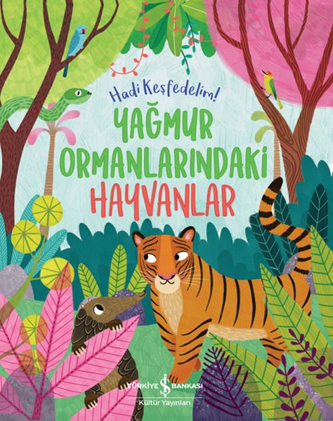 Yağmur Ormanlarındaki Hayvanlar – Hadi Keşfedelim