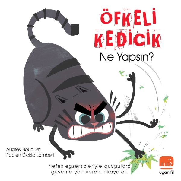 Öfkeli Kedicik Ne Yapsın