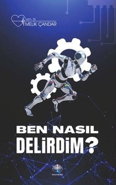 Ben Nasıl Delirdim
