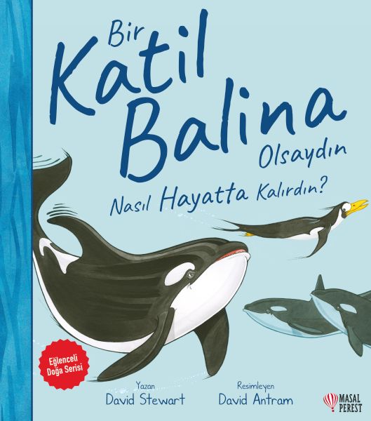 Bir Katil Balina Olsaydın Nasıl Hayatta Kalırdın