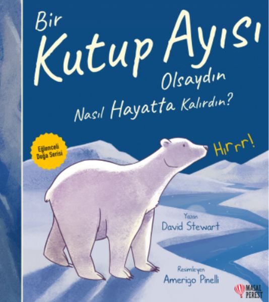 Bir Kutup Ayısı Olsaydın Nasıl Hayatta Kalırdın