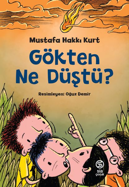Gökten Ne Düştü