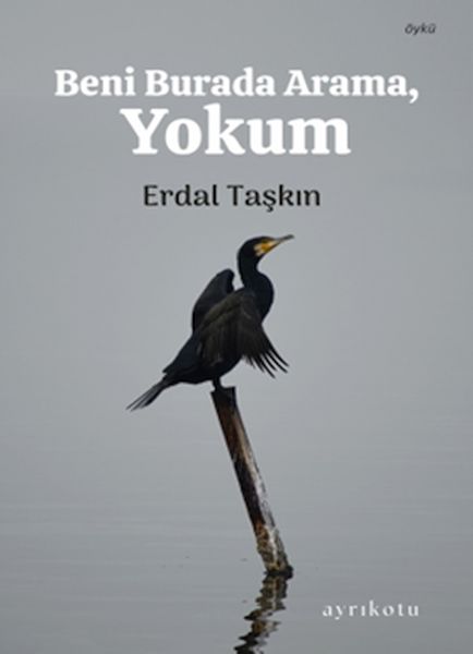 Beni Burada Arama Yokum
