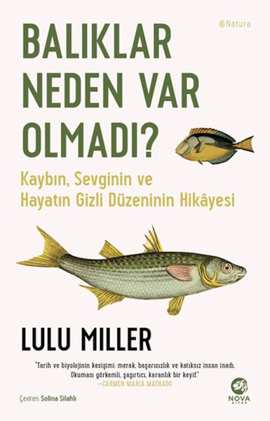 Balıklar Neden Var Olmadı