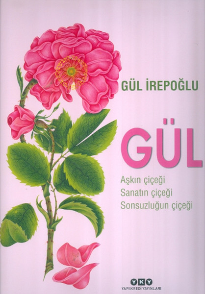 Gül  Aşkın Çiçeği Sanatın Çiçeği Sonsuzluğun Çiçeği
