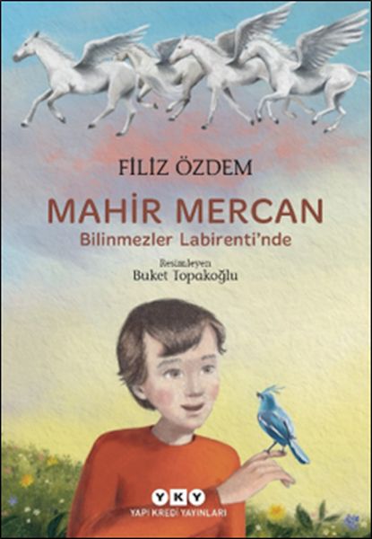 Mahir Mercan  Bilinmezler Labirenti’nde