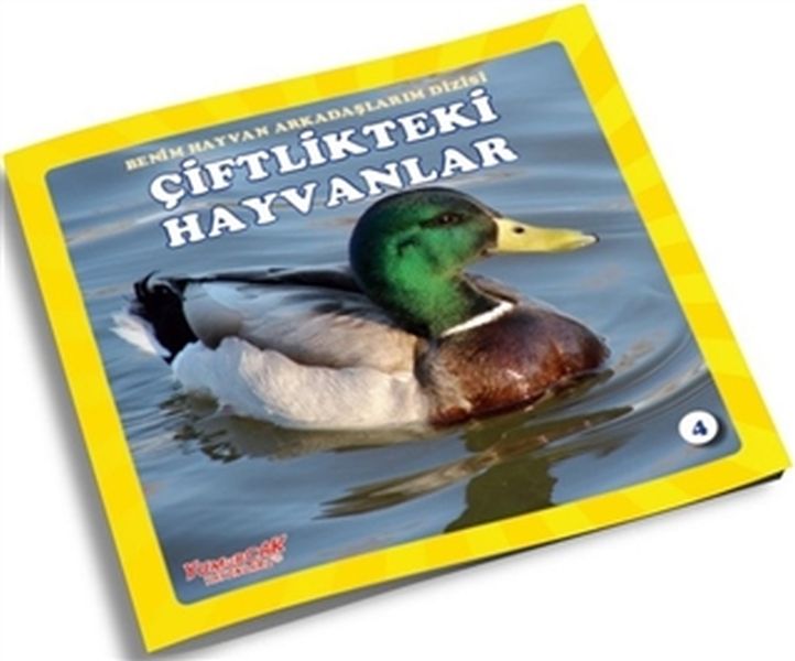 Çiftlikteki Hayvanlar  Benim Hayvan Arkadaşlarım Dizisi 4