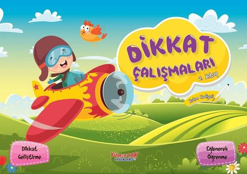 Dikkat Çalışmaları 2 Kitap Kalem Hediyeli