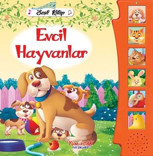 Evcil Hayvanlar  Sesli Kitap