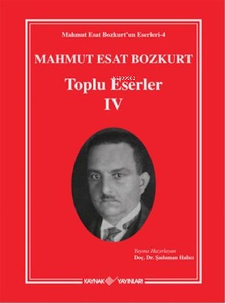 Mahmut Esat Bozkurt Toplu Eserler  4