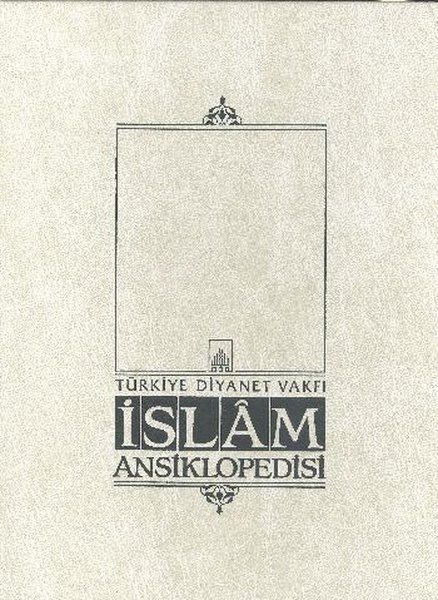 İslam Ansiklopedisi Cilt 31