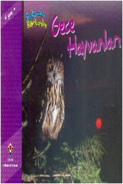 Bir Zamanlar Korkardım  Gece Hayvanları
