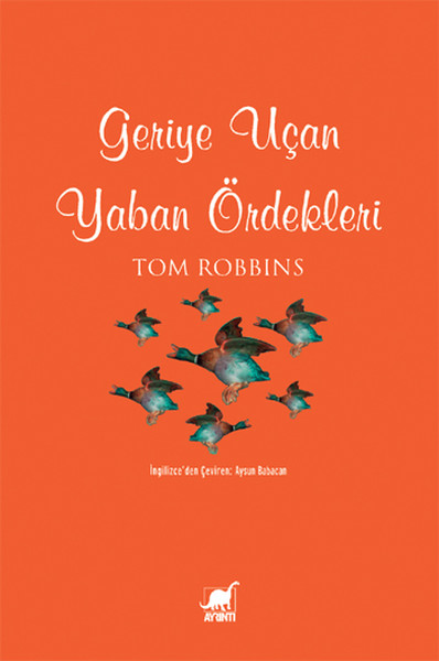 Geriye Uçan Yaban Ördekleri
