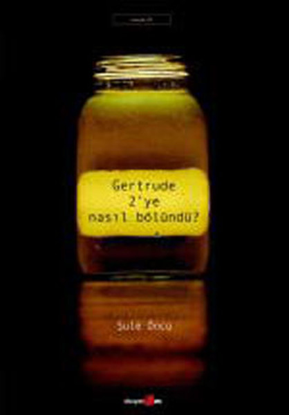 Gertrude 2ye Nasıl Bölündü