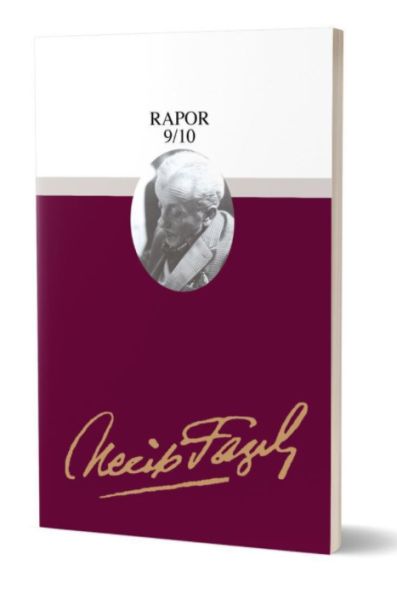Rapor 910