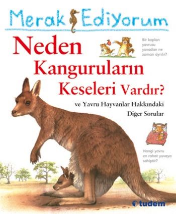 Merak Ediyorum  Neden Kanguruların Keseleri Vardır